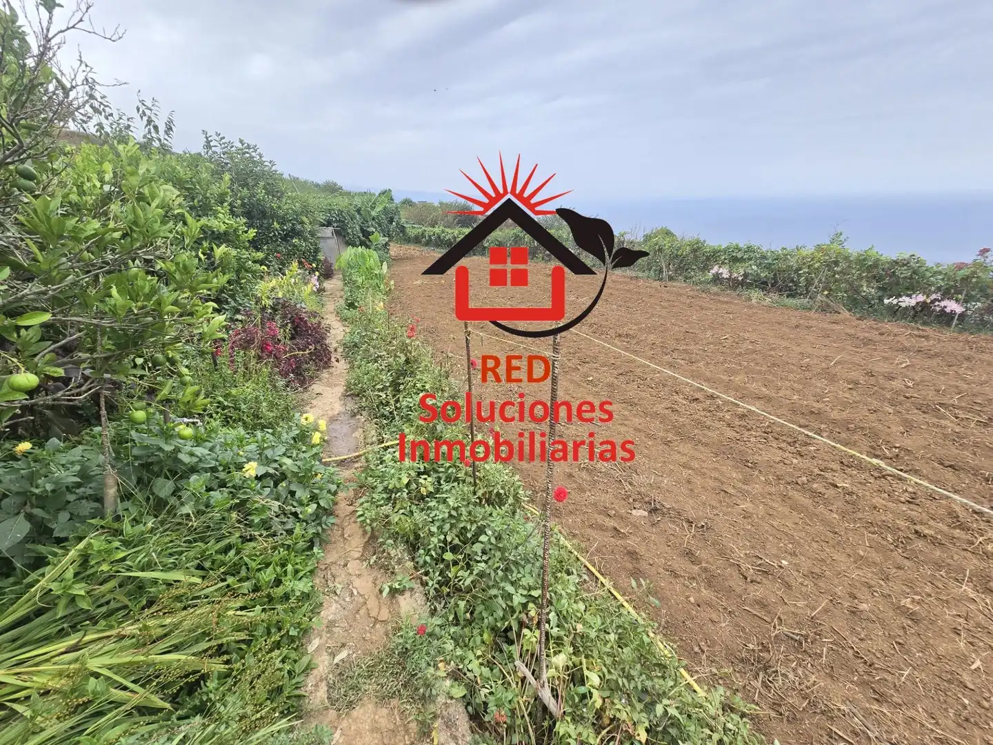 Casa rustica con giardino in vendita a El Sauzal, imagen 32