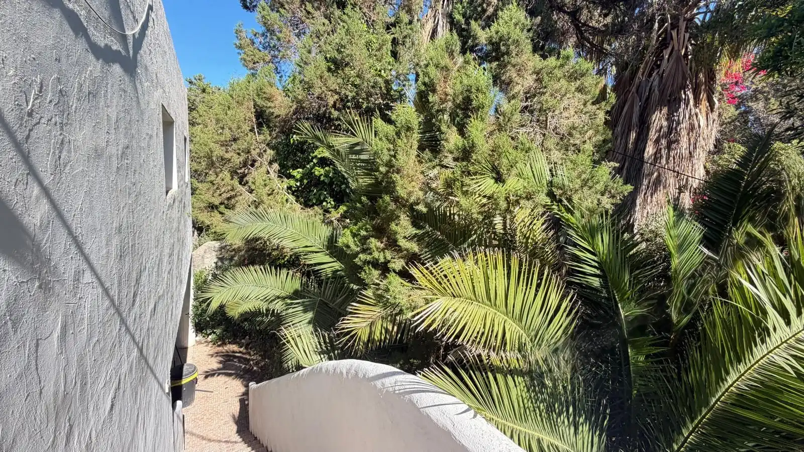 Exterior view of Houses for sale in Sant Josep de sa Talaia  with Private garden and Swimming Pool