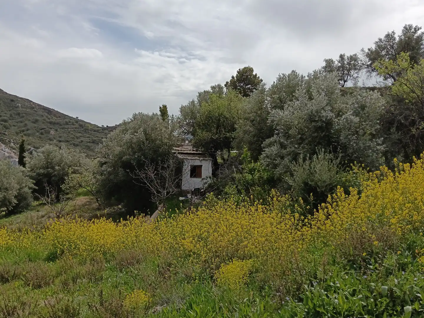 Terreni e lotti in vendita a Alpujarra de la Sierra, imagen 11