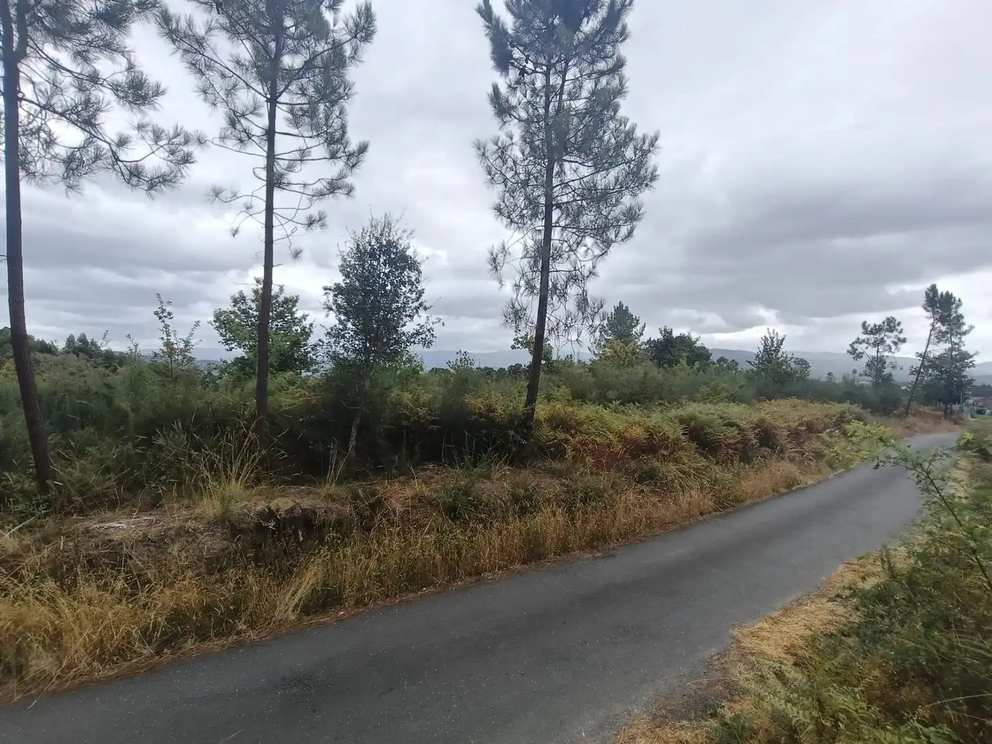 Terreny residencial en venda a Lugar Os Petraños, imagen 7
