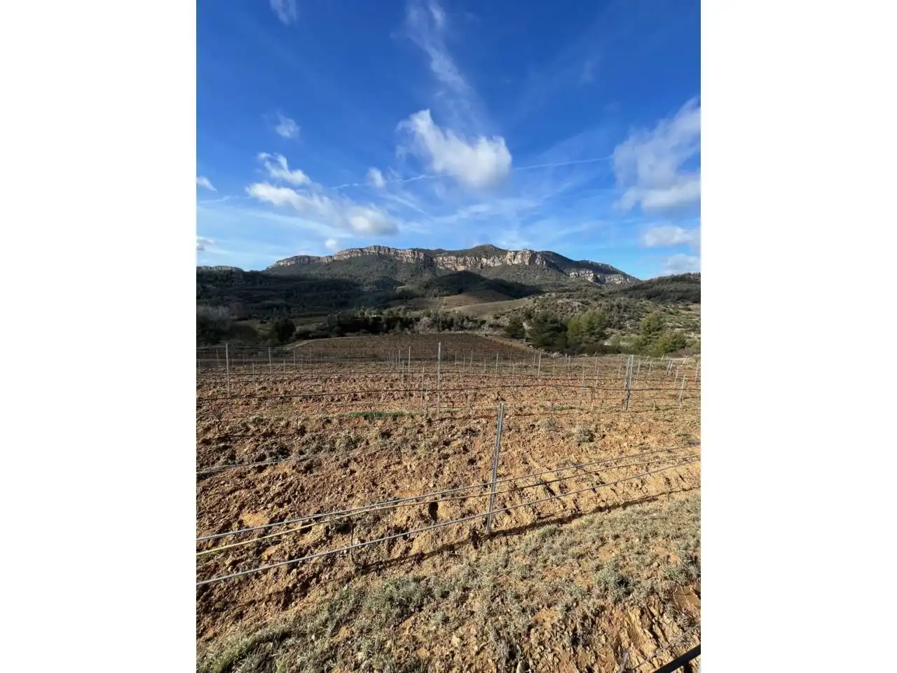 Terreno en venta en La Vilella Baixa