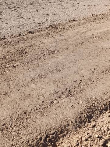 Terreno en Venta en Paraje Tarambana, 3 en Balerma