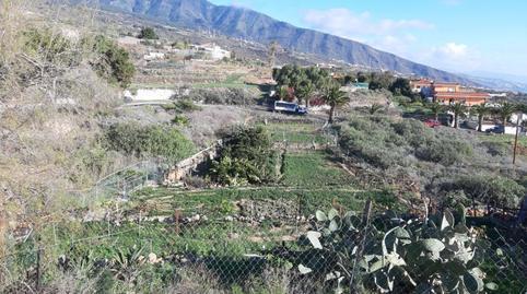 Foto 5 de Terreny en venda a Tf-245, 38, Arafo, Santa Cruz de Tenerife