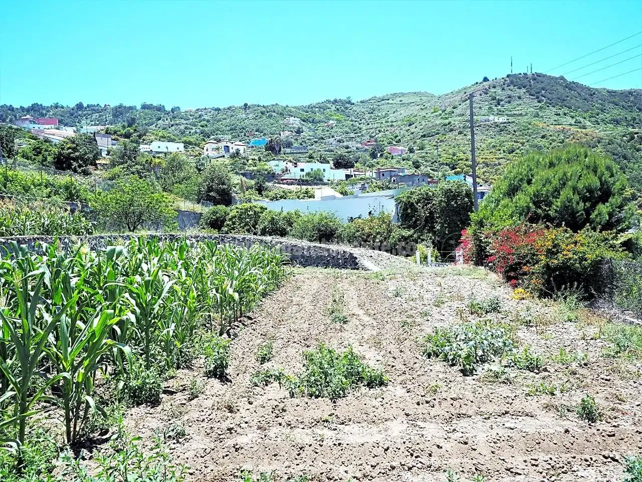 Finca rústica en venta en Icod de los Vinos con Jardín privado