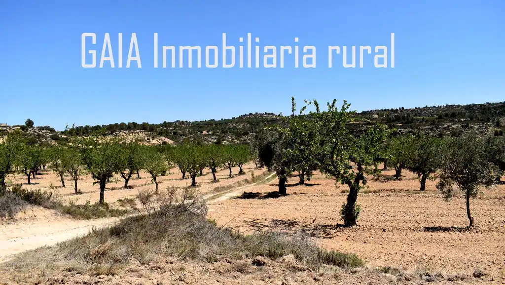 Vista exterior de Finca rústica en venta en Mazaleón