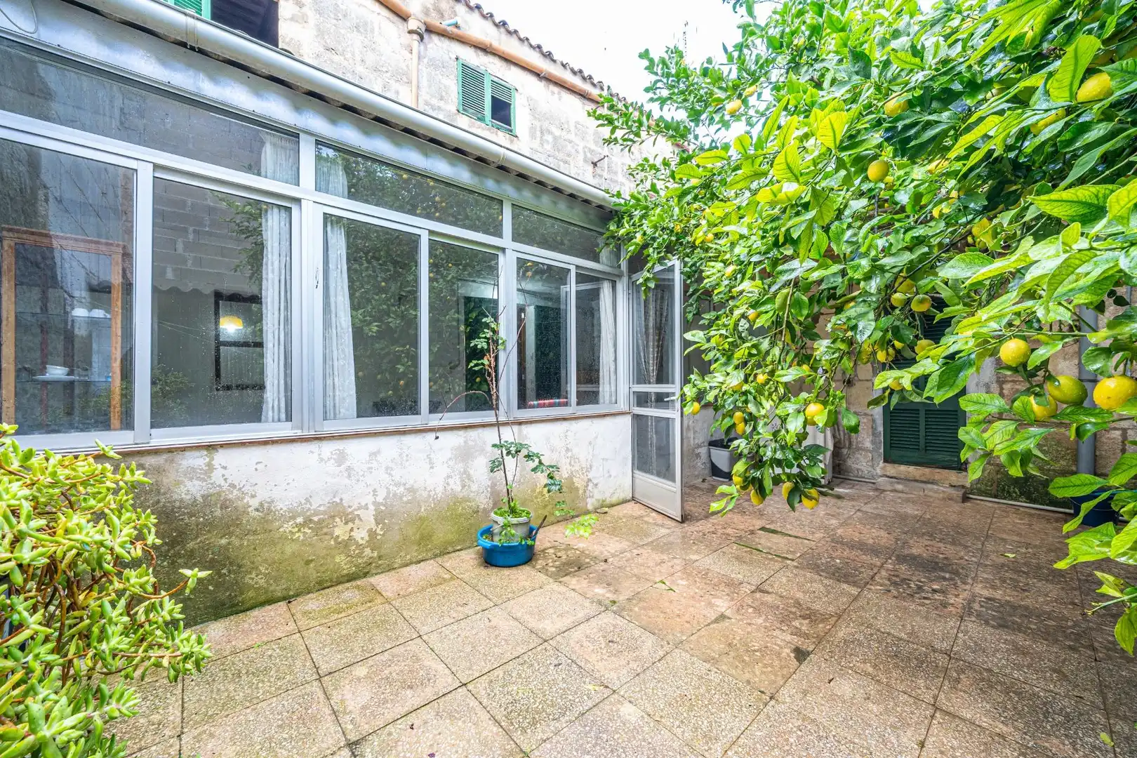 Garden of Houses for sale in Manacor