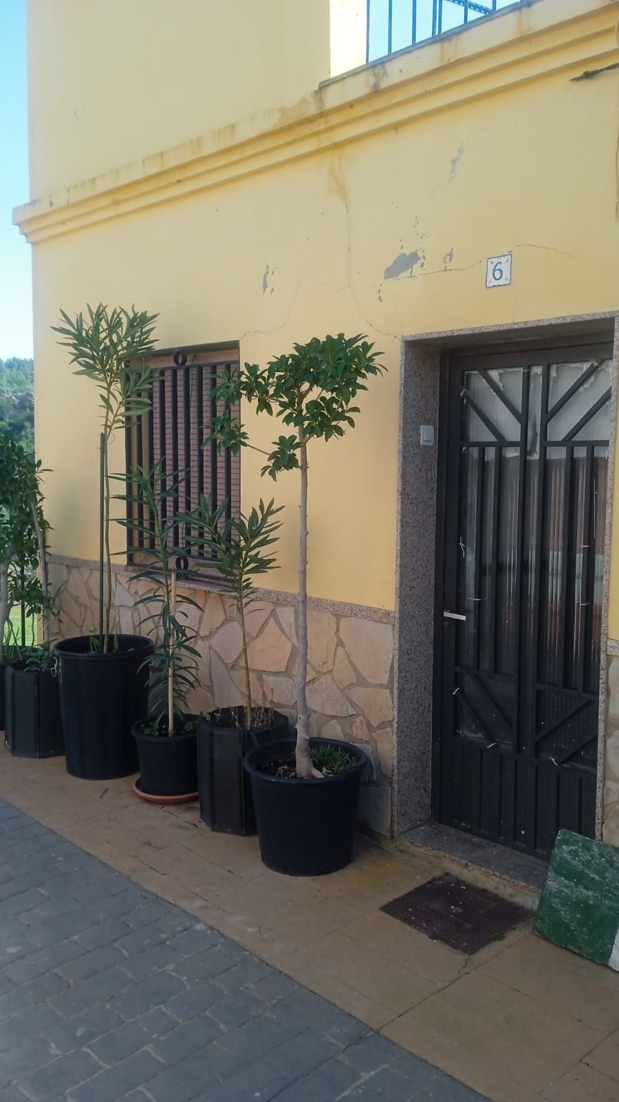 Finca rústica en venta en Ribesalbes con Terraza y Trastero