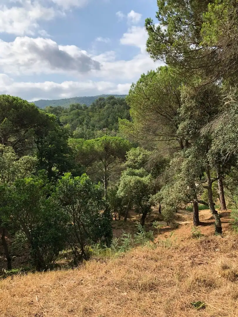 Residencial en venta en Carrer Muntanya, Niàgara Parc - Ágora Parc