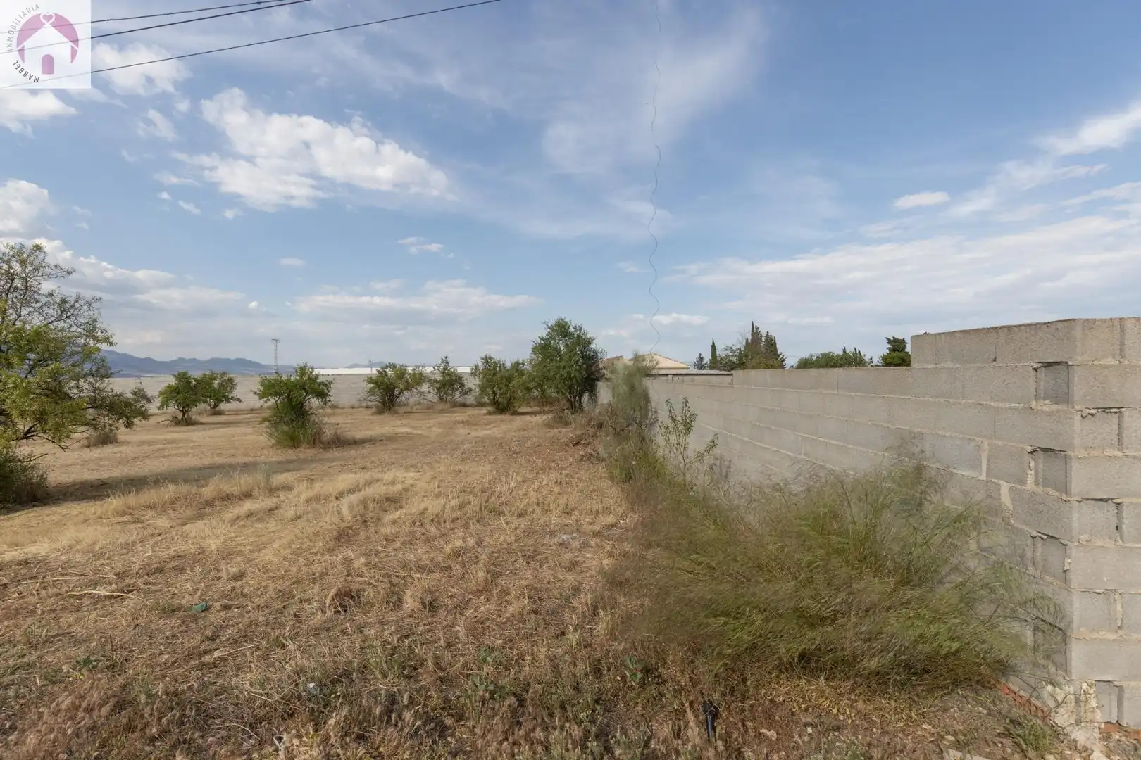 Rural land for sale in Moraleda de Zafayona, imagen 8