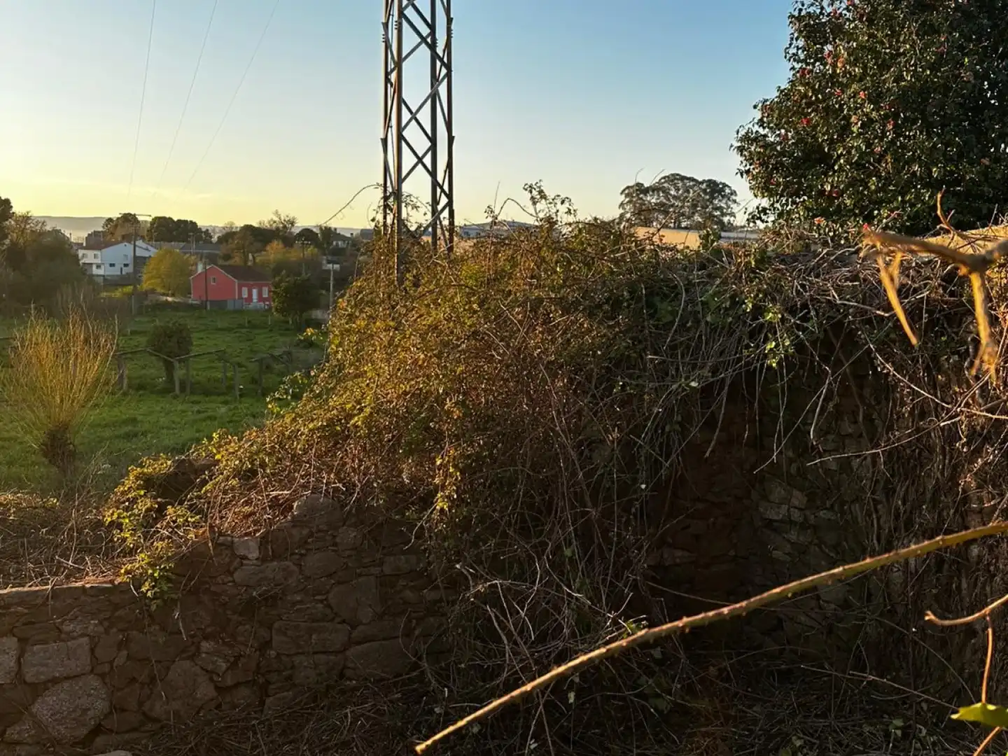 Lands and plots for sale in Cea, imagen 9