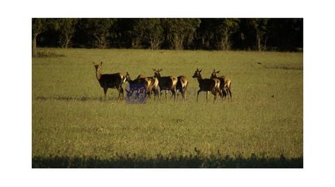 Photo 3 of House or chalet for sale in Diseminados Solana, Zona Sur - Av. de España - San Miguel, Cáceres