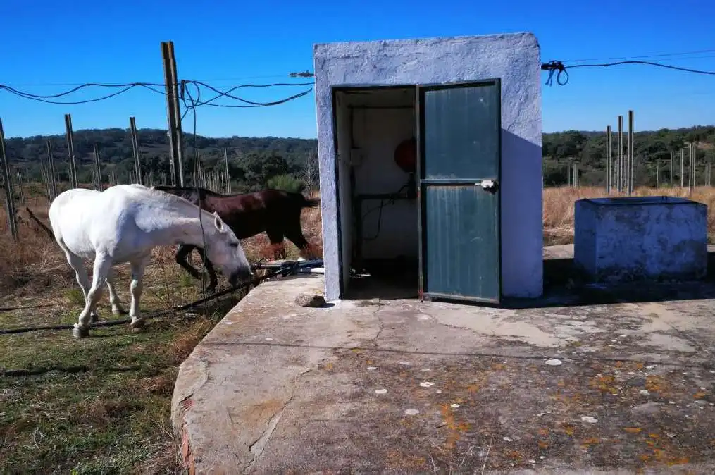 Casa rustica in vendita a N/A, imagen 37