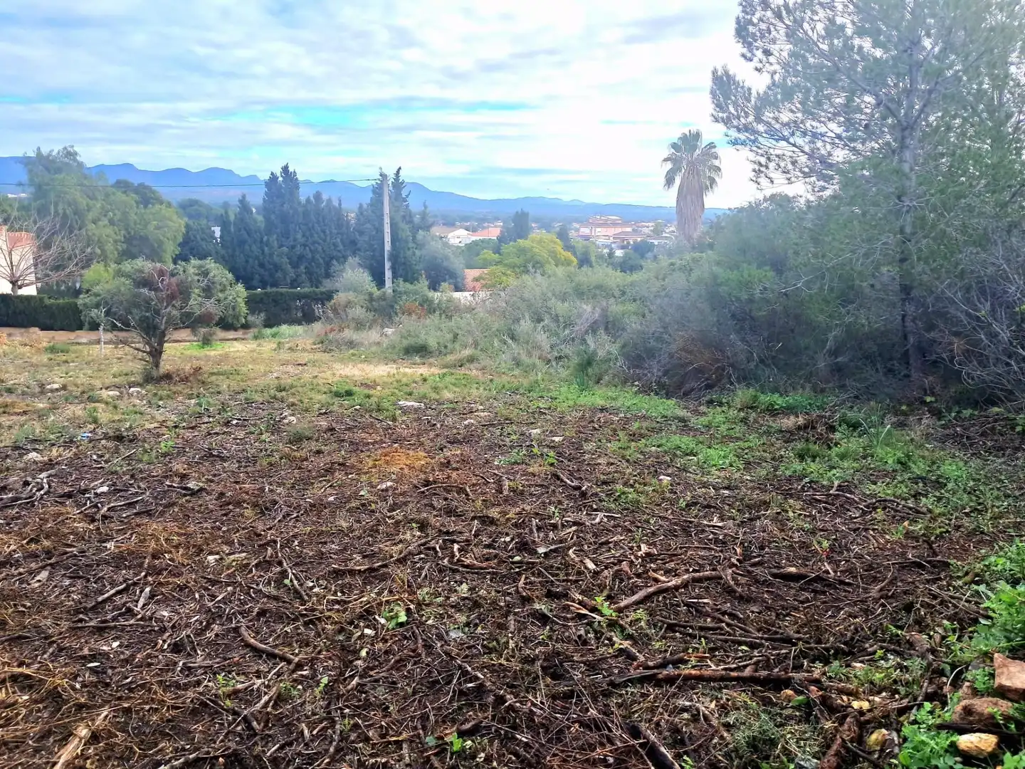 Terrenos y solares en venta en Calle El Pedregal, imagen 8