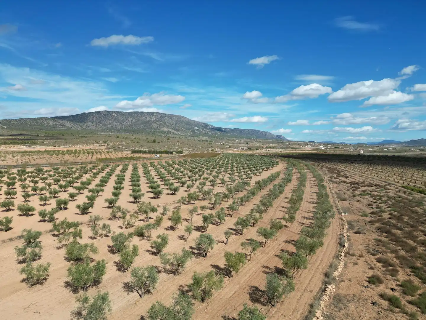 Terreno residencial en venta en El Pinós / Pinoso, imagen 12