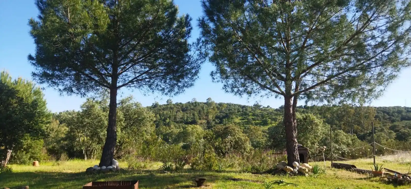 Finca rústica en venda a El Ronquillo