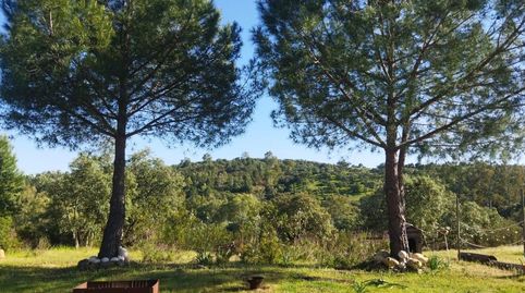 Foto 5 de Finca rústica en venda a El Ronquillo, Sevilla