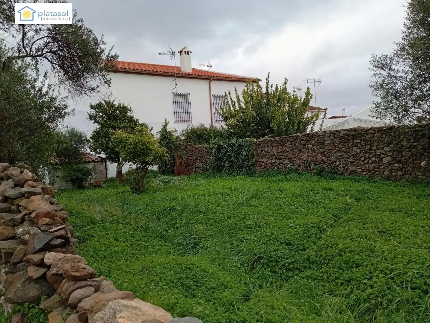 Casa o xalet en venda a Plaza FERNANDO ALONSO LOPEZ, El Madroño