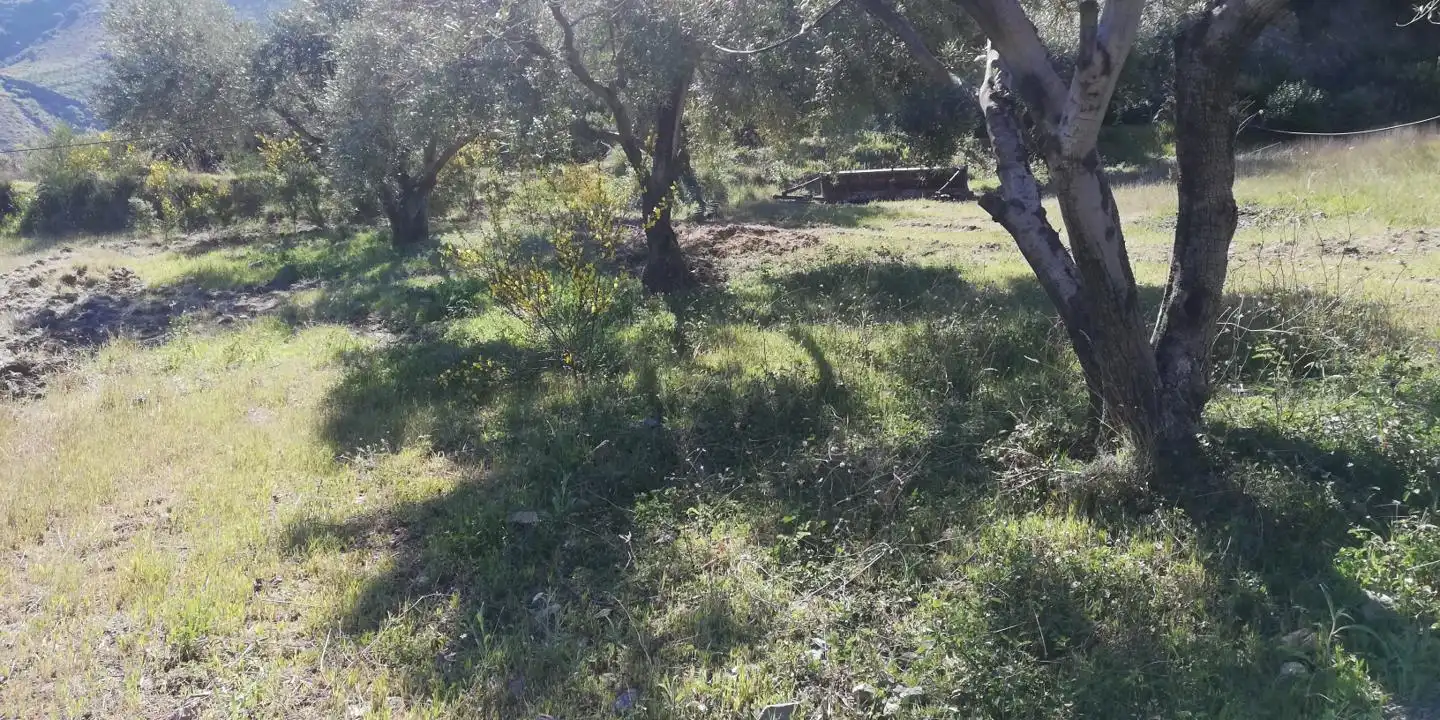 Casa rústica en venta en El Pinar, imagen 4