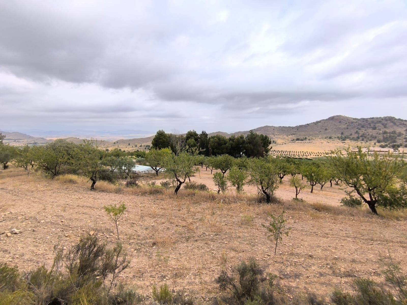 Country house for sale in Las Virtudes