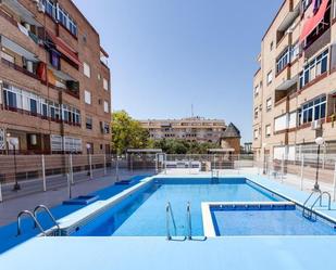Swimming pool of Study for sale in Torrevieja