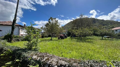 FINCA EDIFICABLE CON HORREO