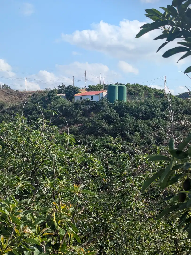 Terreno rustico in vendita a N/A