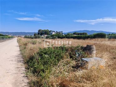 Terreny residencial en venda a CM Silla 12