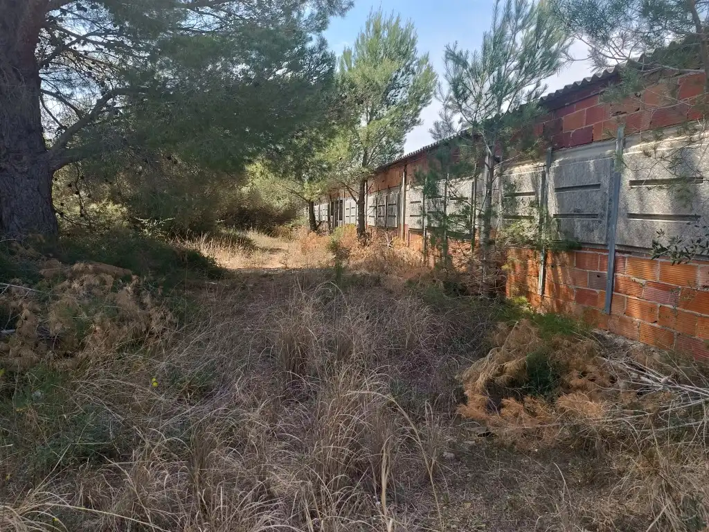 Nau industrial en venda en Canet lo Roig