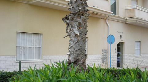 Photo 5 of Duplex for sale in Avenida Mediterraneo, 23, Gaspar Perelló, Alicante