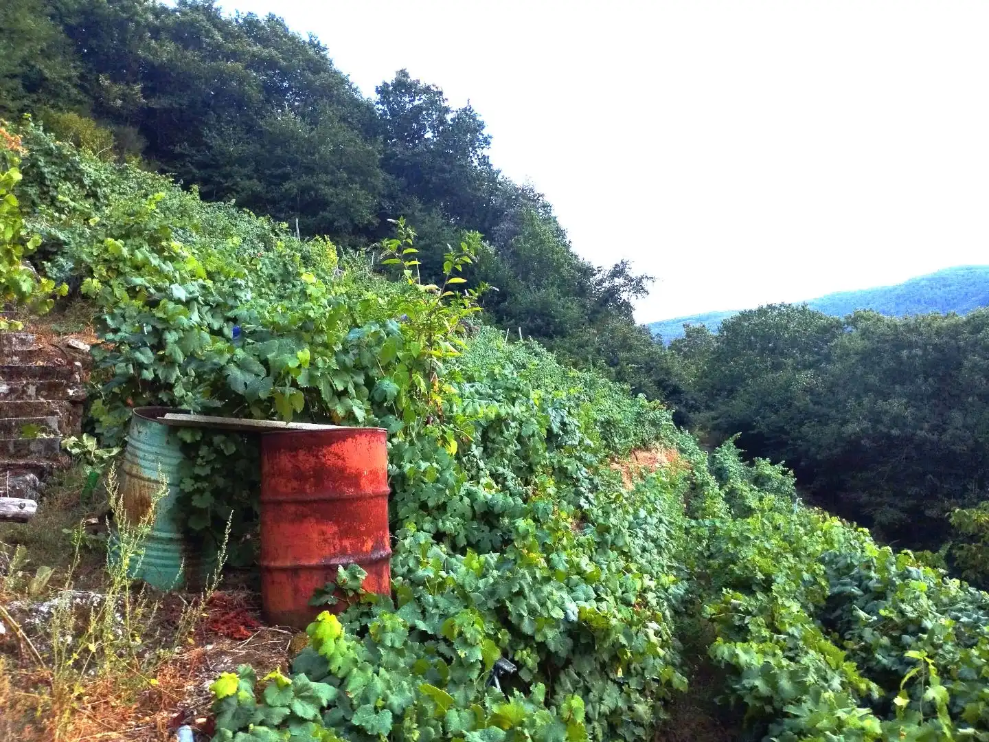 Terreni e lotti in vendita a Lugar Belesar 134, imagen 10