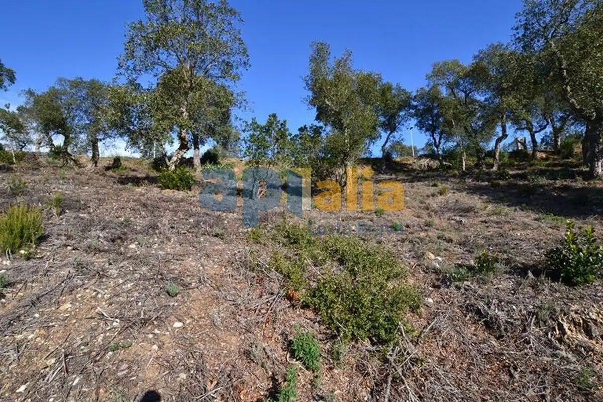 Residential land for sale in Carrer Avet, imagen 2