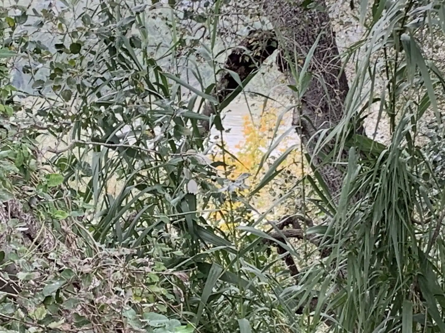 Jardí de Finca rústica en venda en Tortosa