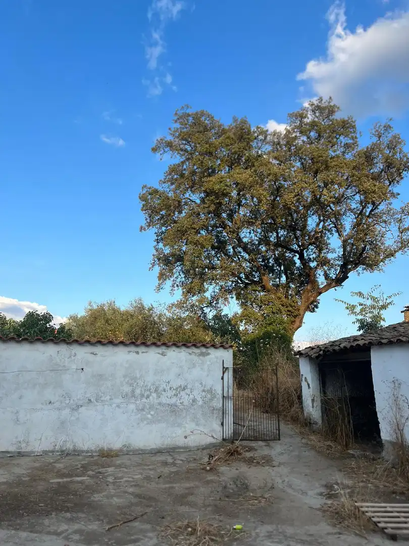 Casa o xalet en venda a Monesterio