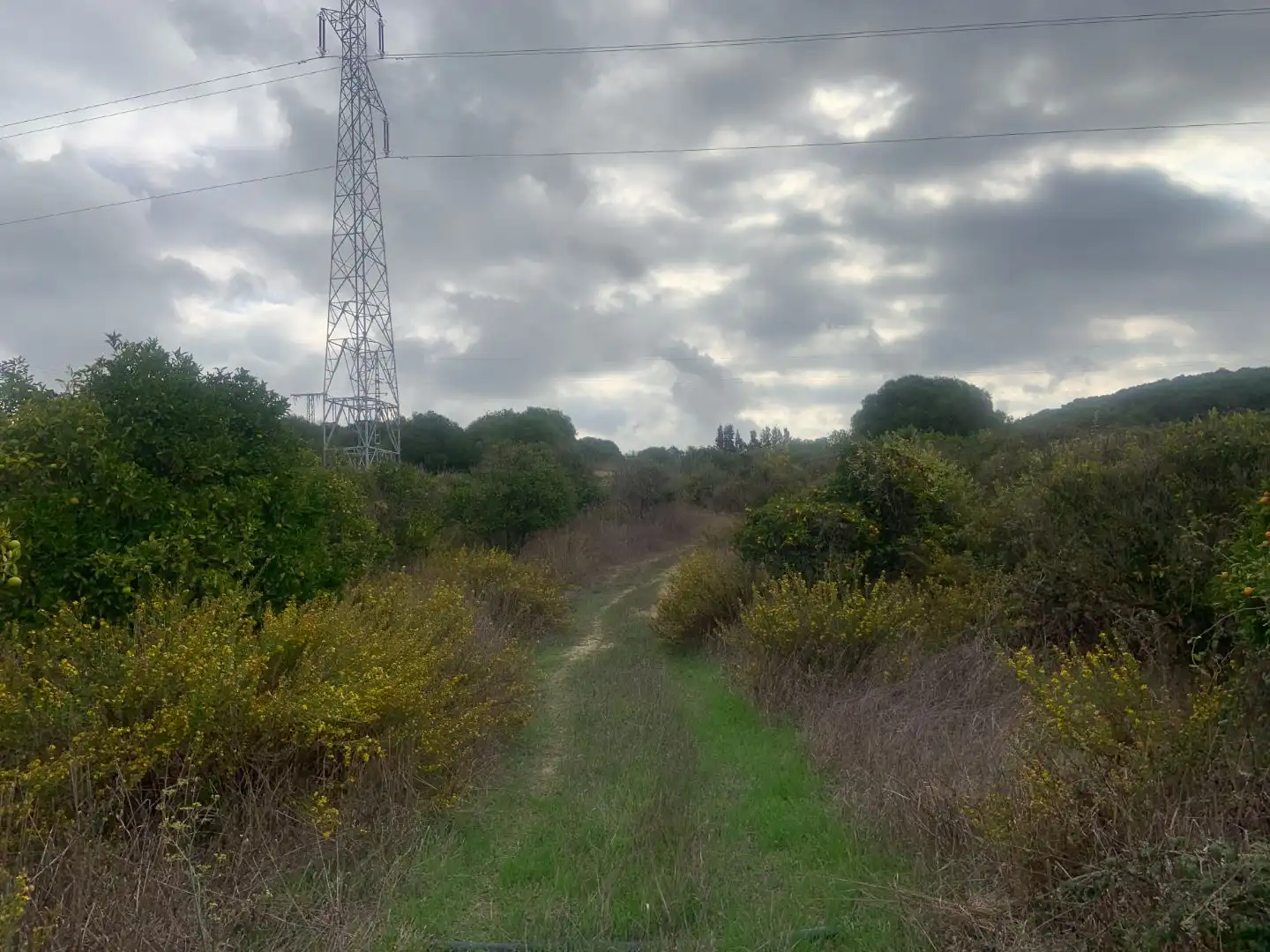 Terreno en venta en Casares