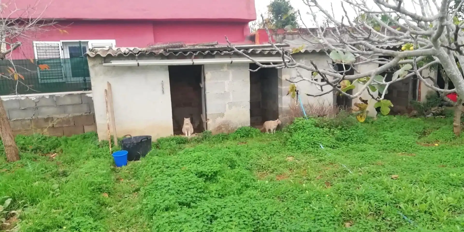Finca rústica en venda en  Palma de Mallorca amb Jardí privat i Terrassa