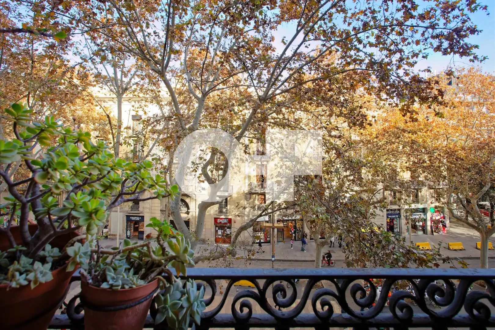 Vista exterior de Apartament en venda en Barcelona amb Terrassa, Moblat i Balcó