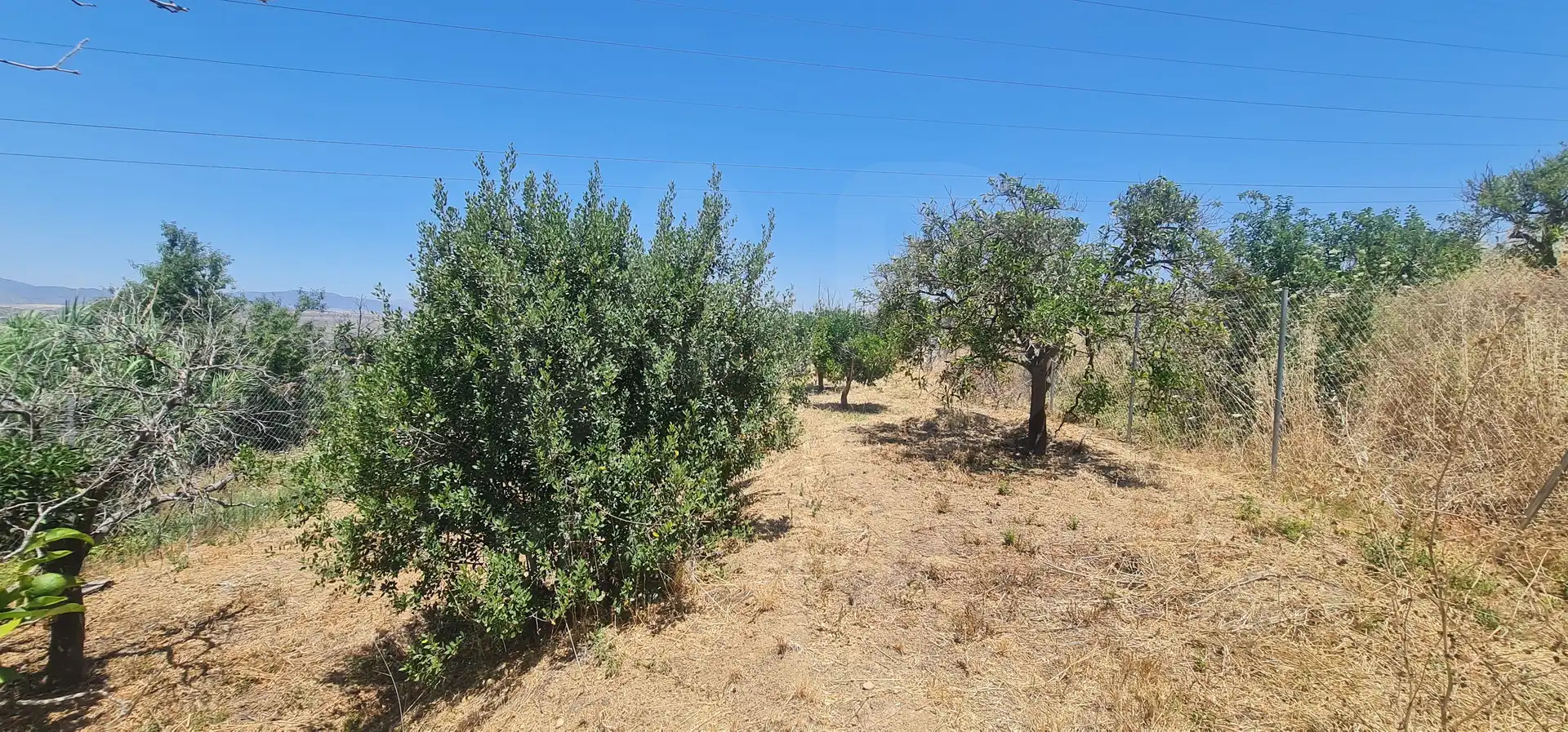 Terreni e lotti in vendita a Centro, imagen 6