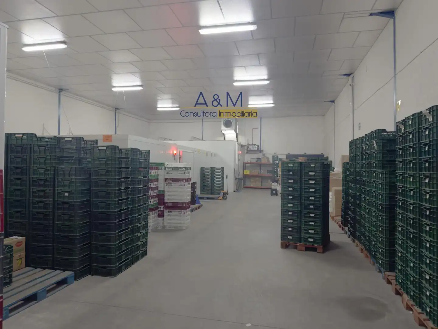 Industrial building for sale in Sauco