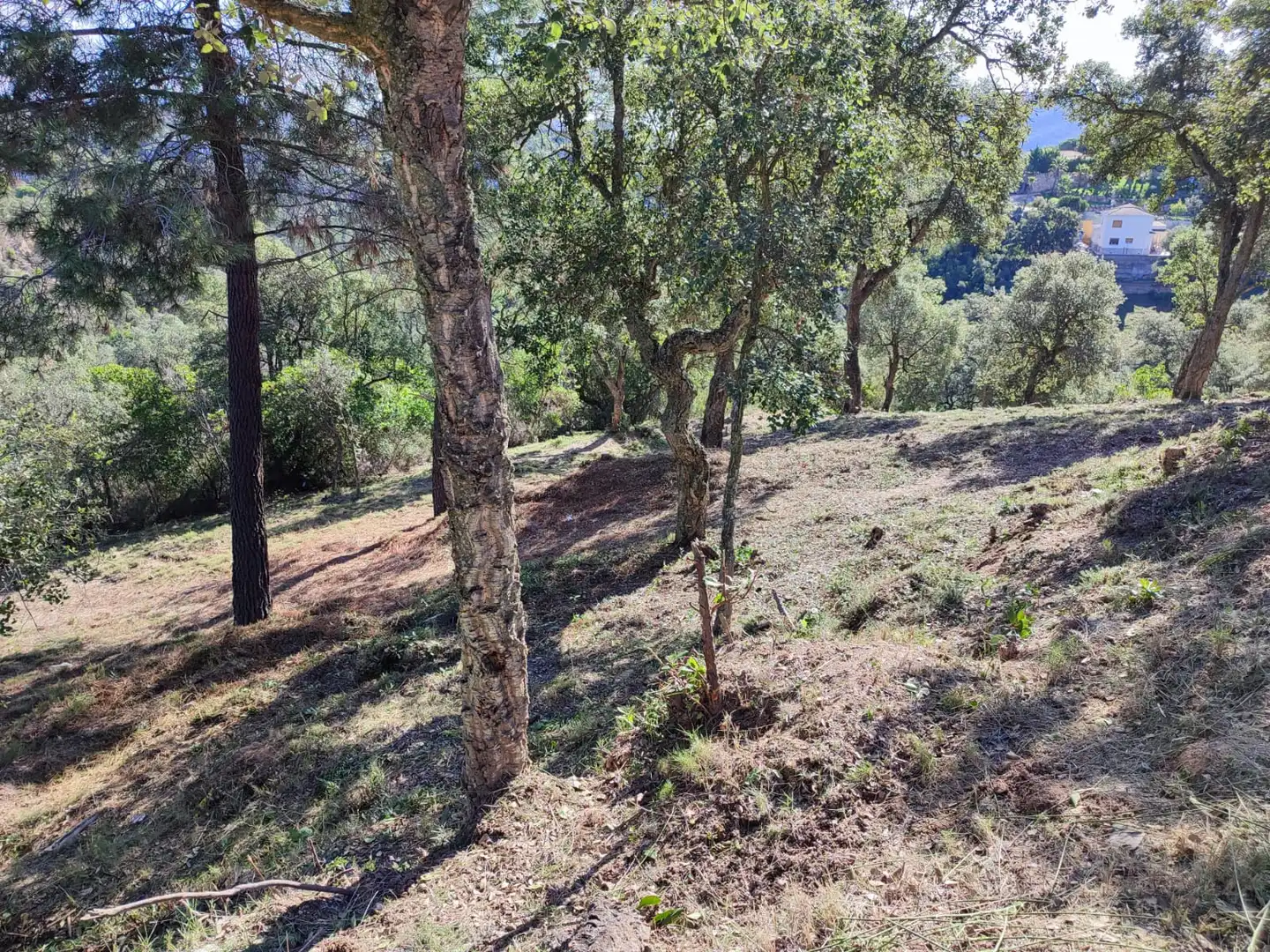 Terreno residencial en venta en Lloret Residencial - Montlloret, imagen 11