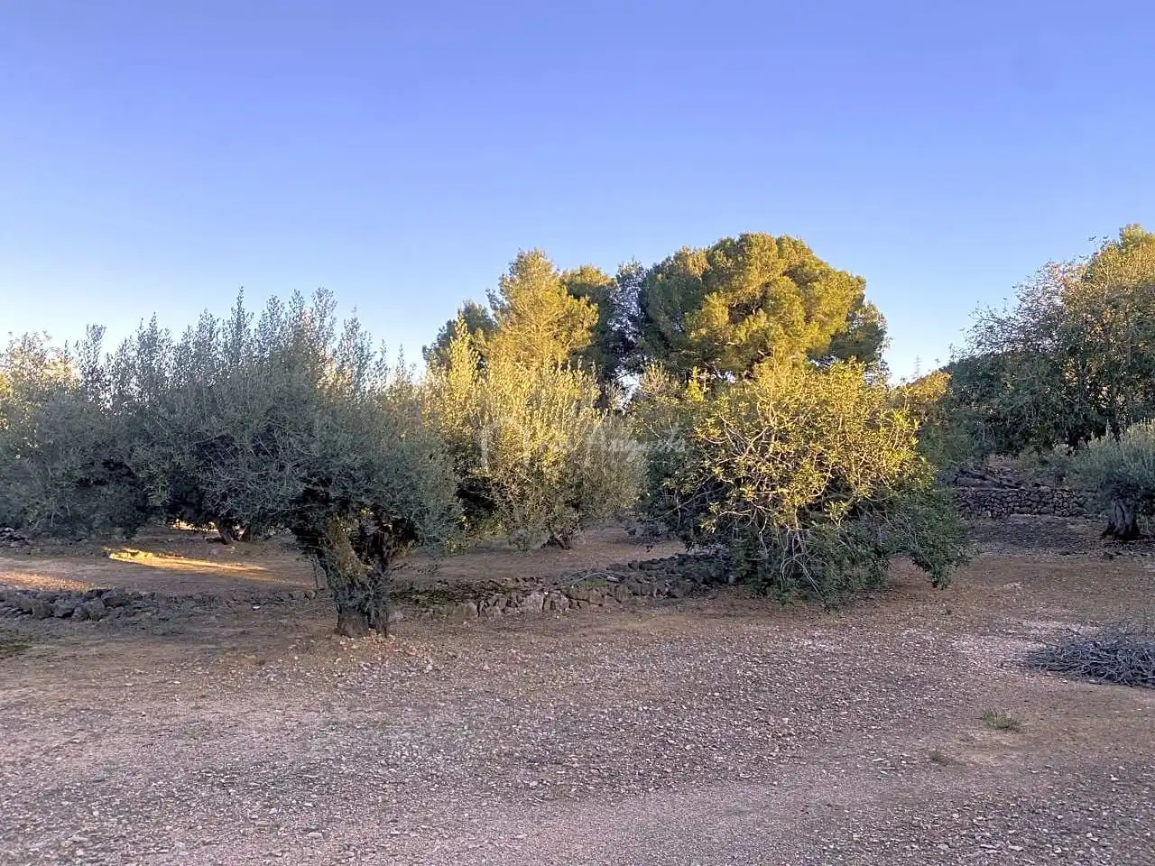 Terrain rustique à vendre à Baldiras, imagen 5