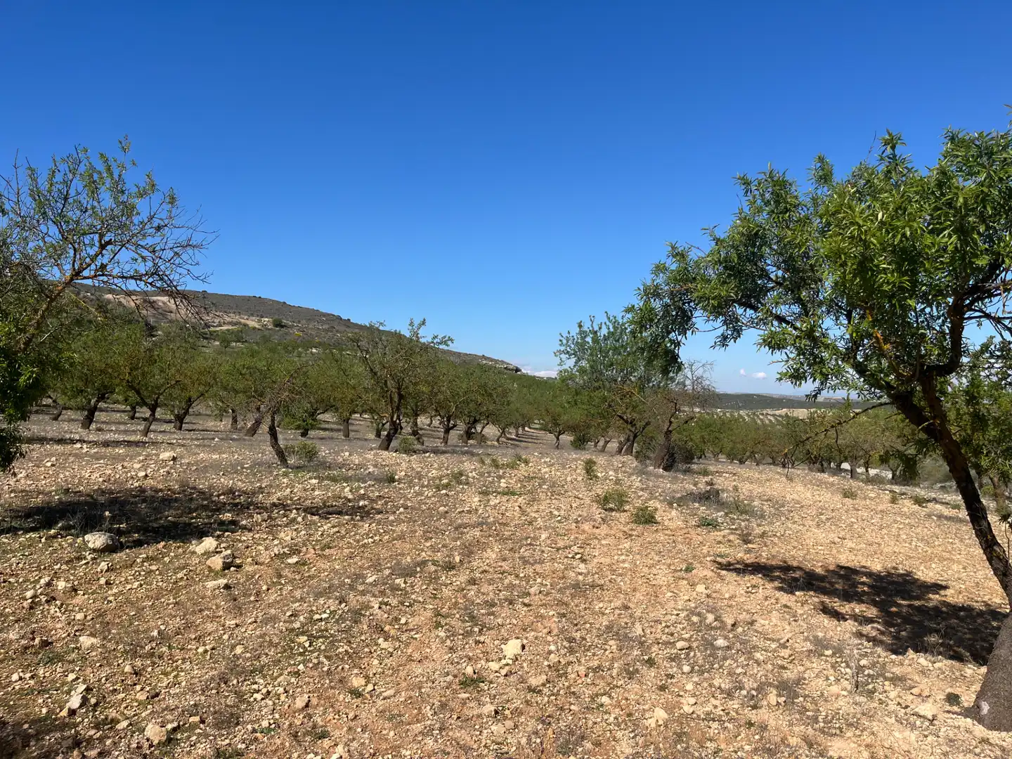 Rustikales Grundstück zum Verkauf in Avenida de Andalucía, imagen 4