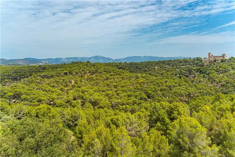 Flat for sale in  Palma de Mallorca  with Terrace, Storage room and Oven