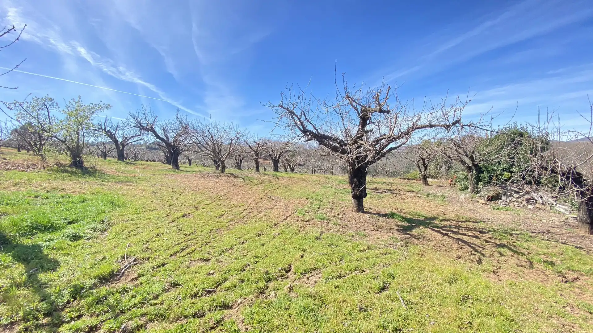 Terreni e lotti in vendita a Jaraíz de la Vera, imagen 9