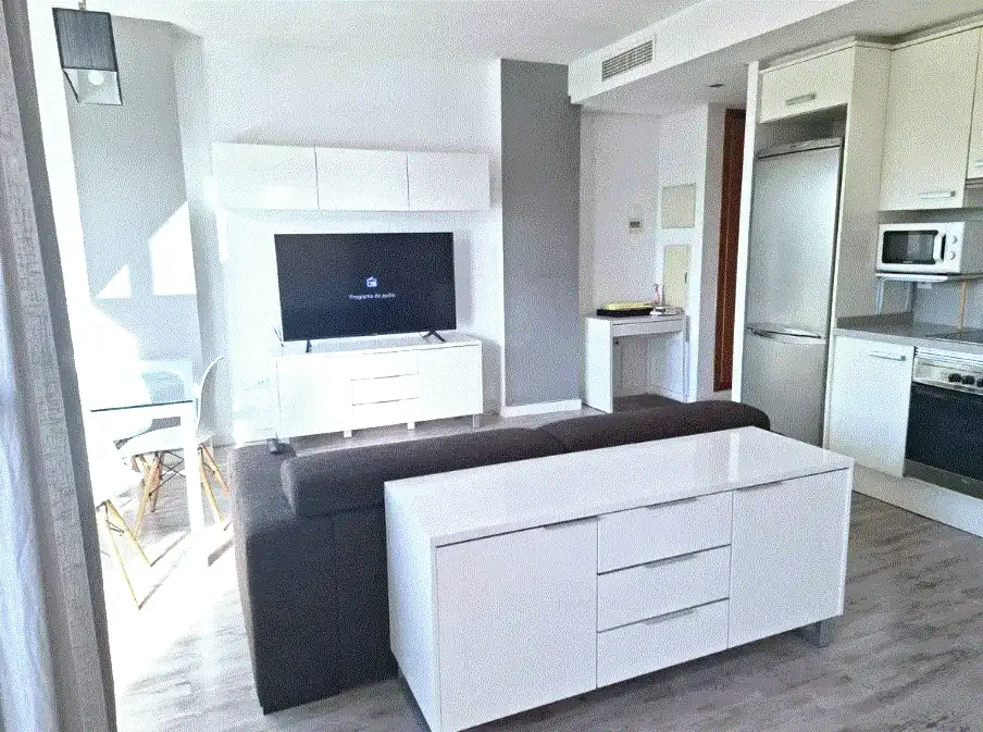 Sala de estar de Loft en venta en Valencia con Aire acondicionado, Calefacción y Jardín privado