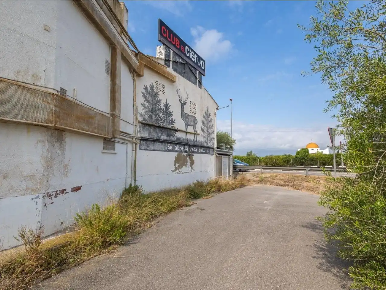Vista exterior de Finca rústica en venta en Algemesí con Aire acondicionado, Calefacción y Jardín privado