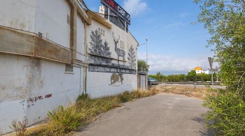 Foto 4 de Finca rústica en venta en De Cotes, Algemesí, Valencia