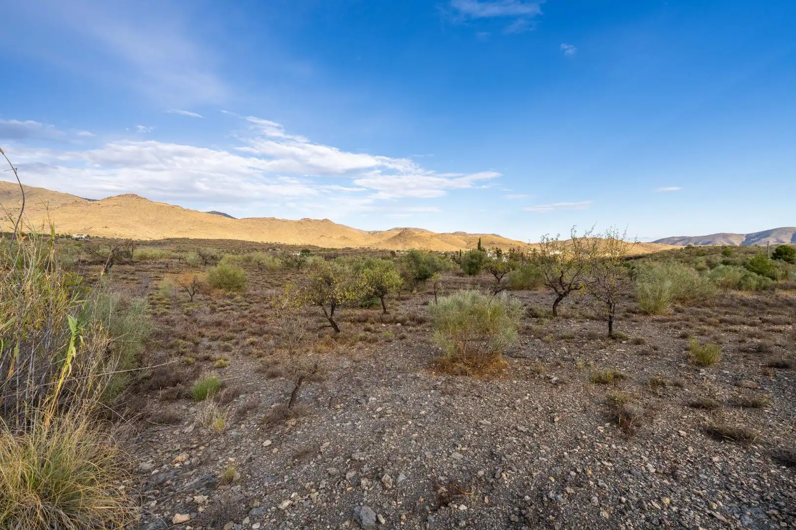 Rural land for sale in de Velefique a Senés 0, imagen 12