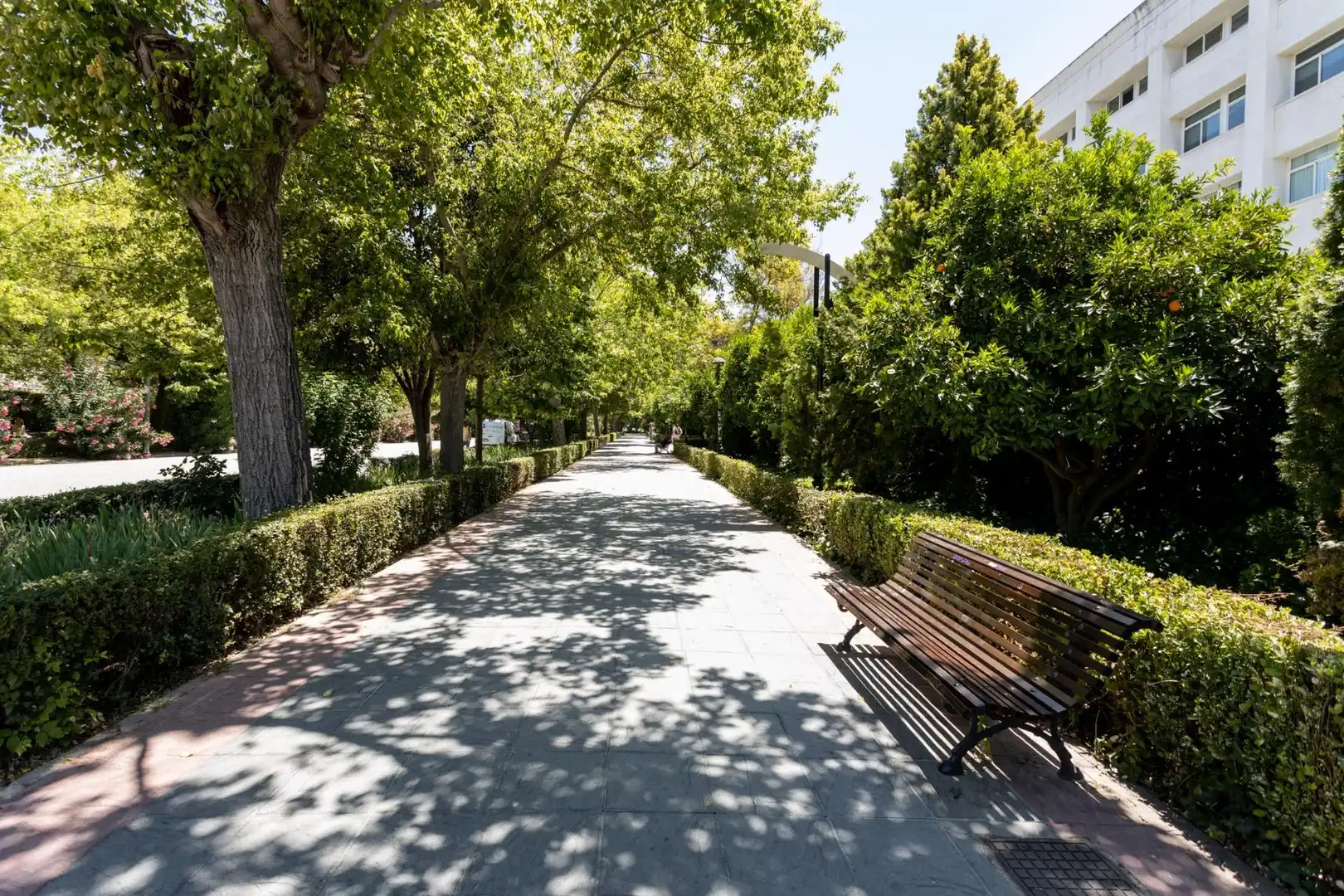 Vista exterior de Pis en venda en Granada amb Aire condicionat i Calefacció