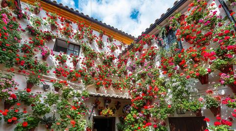 Photo 5 of House or chalet for sale in Calle Espino, Pedro Abad, Córdoba