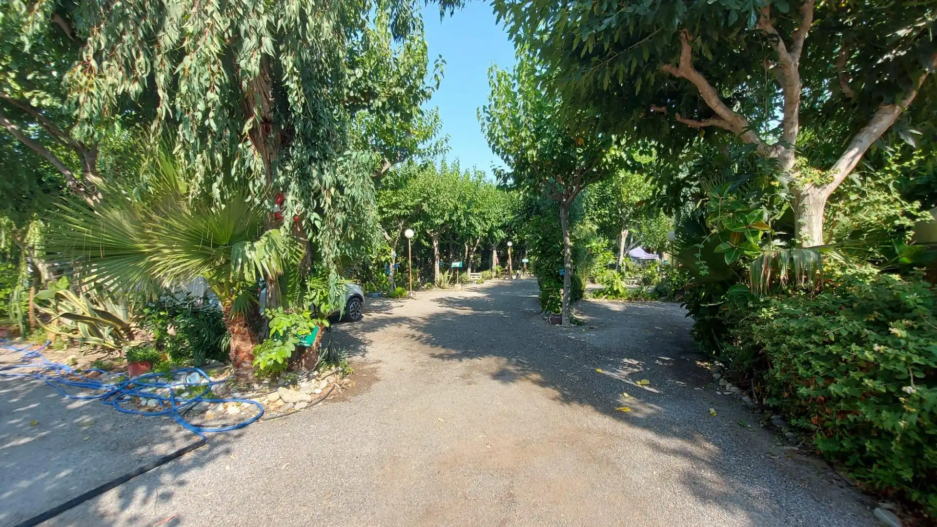 Jardí de Residencial en venda en Adra